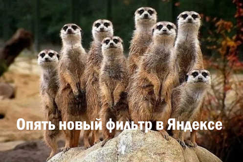 Новый фильтр в Яндексе и SEO-шники